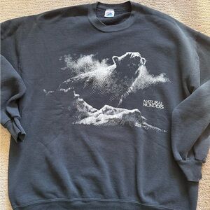 Vintage “natural wonders” sweatshirt. 1992